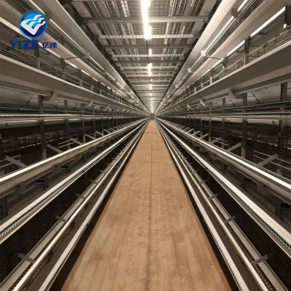 Poultry Egg Layer Chicken Cagebattery Cages Laying Hens in Philippines