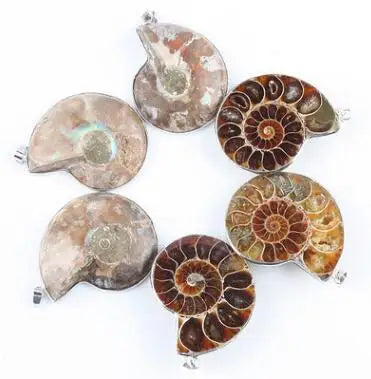 Madagascar Sea Natural Druzy Ammonite Slice Shell Fossil Stone Charm Gemstone Pendant Decor DIY Gift