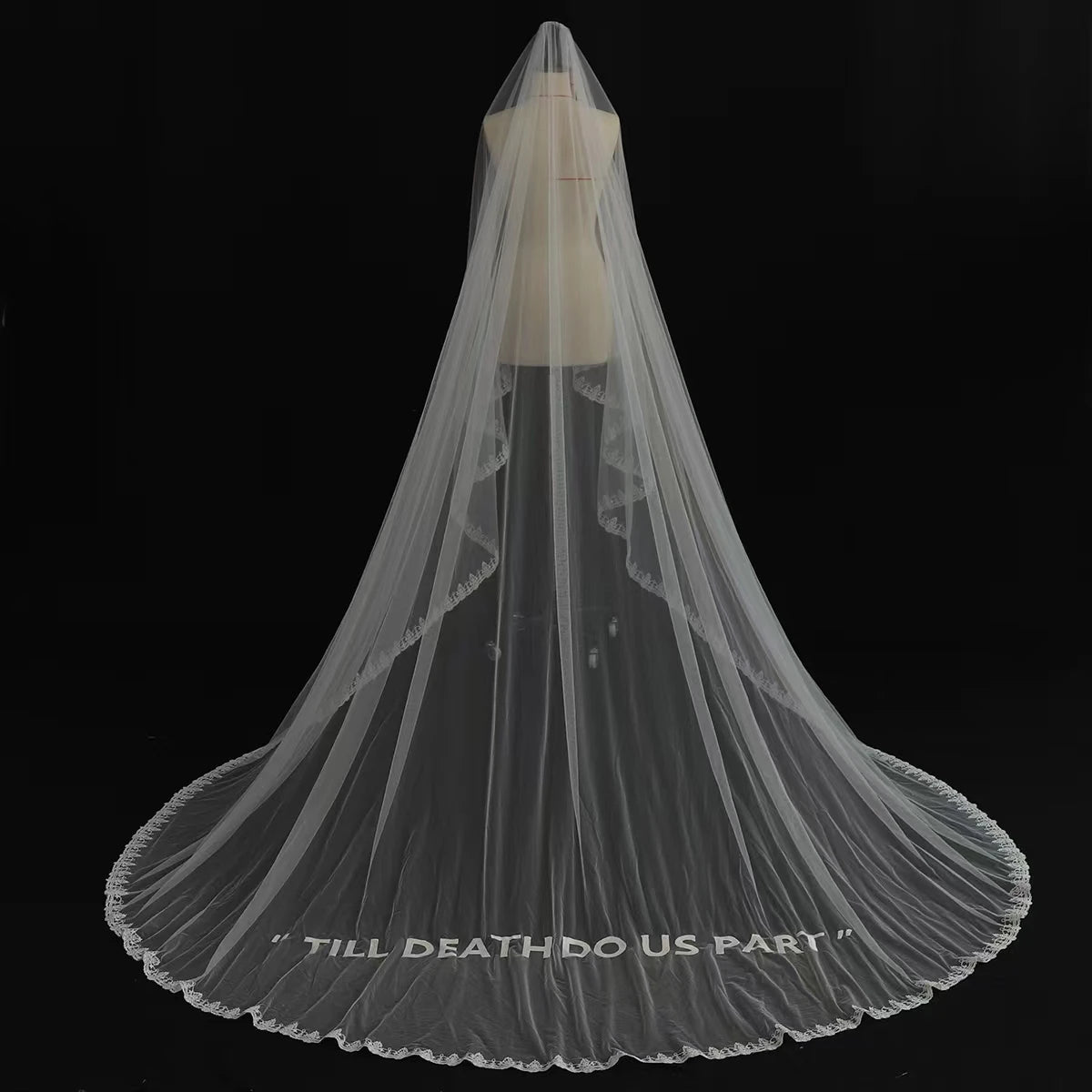 QUEENS GOWN Custom Bridal Veil Character Embroidery Text Flower Lace Veil Long Train Custom Bride Dress Veil for Wedding