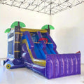 Apexscn View Commercial Playground Inflatable Bouncy Castle-Model TOP001