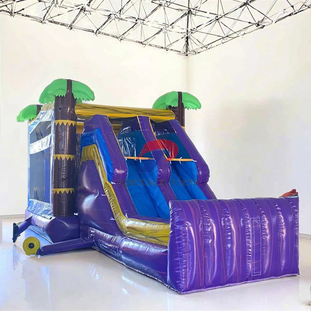 Apexscn View Commercial Playground Inflatable Bouncy Castle-Model TOP001