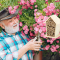 USMILEPET New Arrival Paulownia Wood Wooden Bee House Outdoor Pet Cages Insect House Flying Insect House for Bees Butterflies