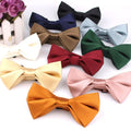 Luxury Men's Butterfly Bow Ties in Candy Colors Black Polyester Blouse Bowtie