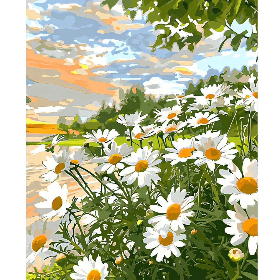Diy Acrylic Paint by Numbers for Starter Kits Daisy Handicrafts Number Painting Flowers for Home Decors 40x50cm/16x20inch