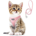 Custom Logo Reflective Solid Leather/Rubber/Polyester/Nylon Adjustable Pet Dog Cat Harness Leash with Customizable Color & Size
