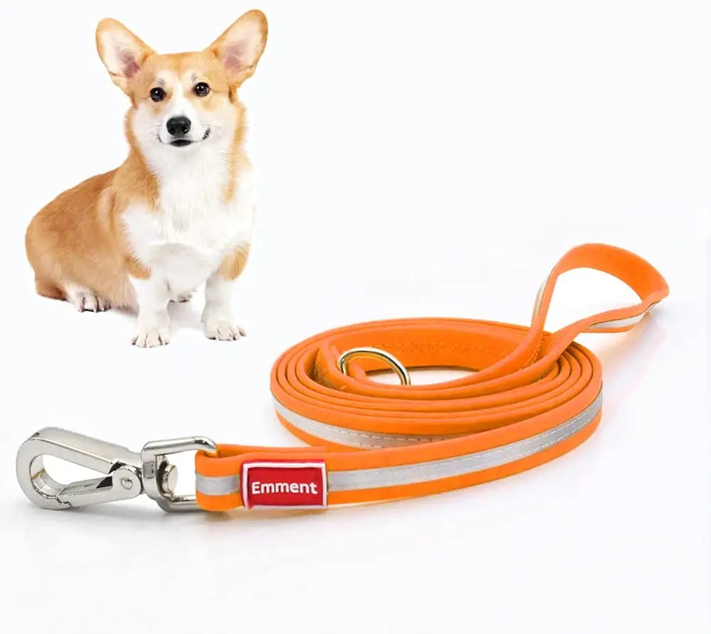 Hot Sale Reflective PVC Dog Training Collar Leash Customizable Waterproof Nylon with Rivet Decoration for Walking and Running