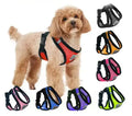 Best Price Hot Sell Pet Dog Harness Chest Strap Soft Breathable Dog Pet Vest With Leashes