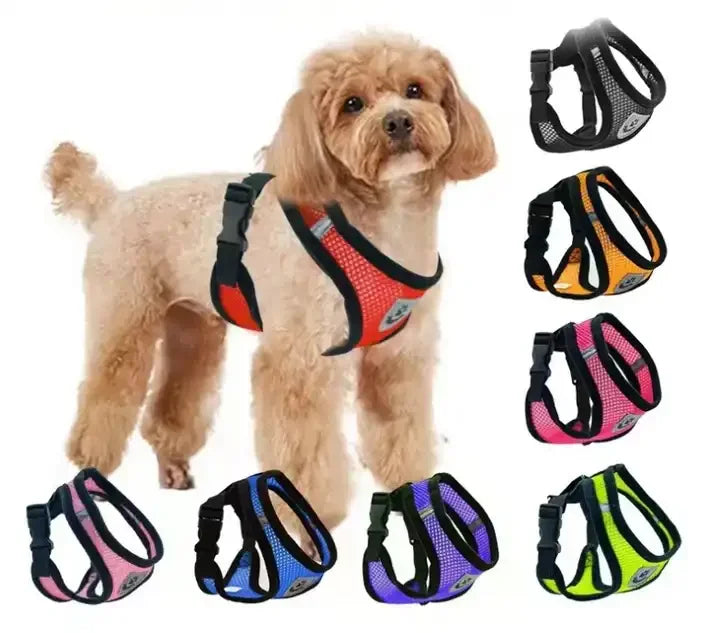 Best Price Hot Sell Pet Dog Harness Chest Strap Soft Breathable Dog Pet Vest With Leashes