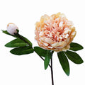 European Style Single Stem 2 Heads Silk Peonies Artificial Flowers Peony for Home Vase Decor