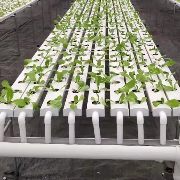 100*50mm White Hydroponic Channel for NFT System  Soilless Agriculture