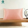 Wholesale 19mm 40 Color 100% Mulberry Silk Pillowcase Luxury Fashion Pink Silk Home and Hotel Use Woven Solid Pattern