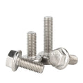 M5 M6 M8 M10 M12 A2-70 304 Stainless Steel GB5787 Hexagon Head Serrated Flange Cup Bolt with Plain Finish