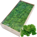 O-X006 Factory Wholesale Preserved Dried Sphagnum Moss Real Natural Stabilized Reindeer Preserved Moss