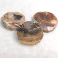 Hot Sale Natural Energy Crystal Healing Stone Petrified Wood Slice Wood Fossil Slab