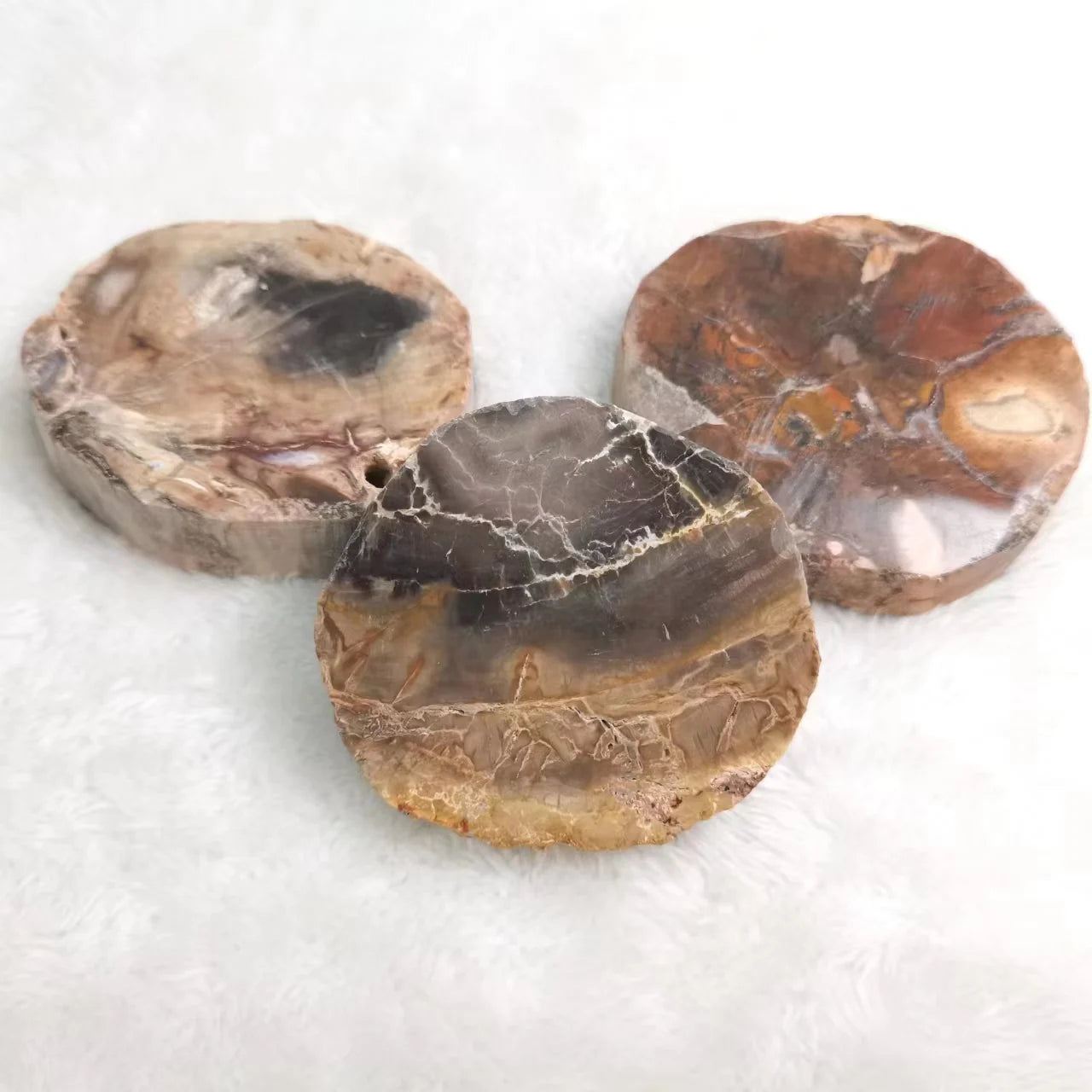 Hot Sale Natural Energy Crystal Healing Stone Petrified Wood Slice Wood Fossil Slab