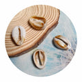 Handmade Cute Fashion Jewelry Sets Beads Acrylic Beautiful Sea Shell Cabochons for DIY Craft