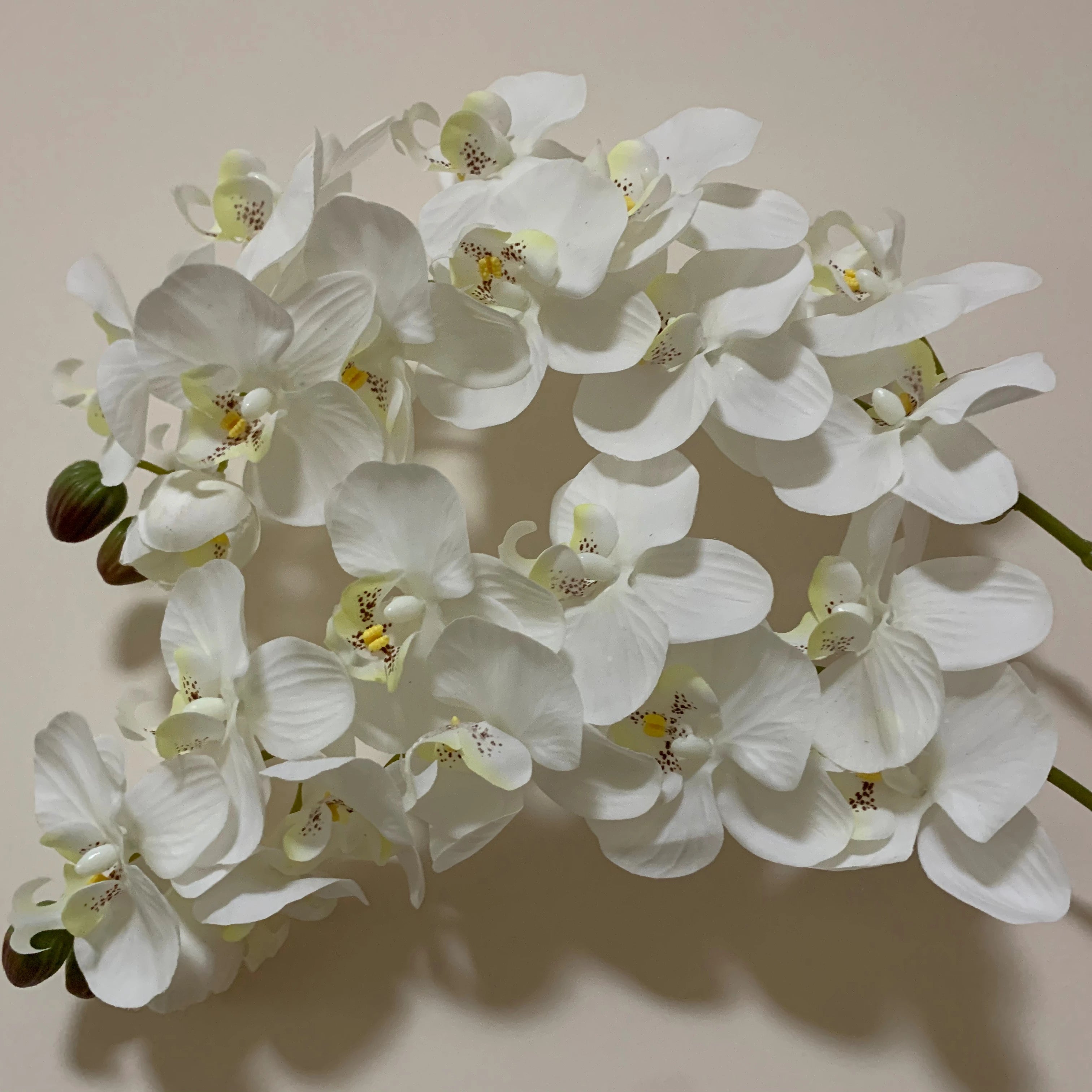 C-OR002 Wholesale Home Decor Artificial Silk Butterfly Phalaenopsis Orchid Flowers