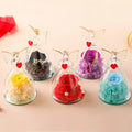 Christmas Valentines Day Gift Unique Angels Preserved Eternal Roses in Glass Dome With Gift Box for Women Girls