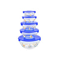 Promotion 5pcs Classic Popular Disposable Glass Salad Bowls Set Lids Classic Popular Bowl Sets Lids Stock Glass Bowl Set Lid