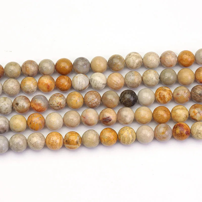 Factory Direct Wholesale Natural Yellow Rainbow Coral Fossil Gemstone Beads Stone Bead Strand for Jewelry Making 6 8 10mm 38cm