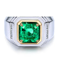 925 Sterling Silver Man Rings Collection Lab Grown Emerald Wholesale Sterling Silver Rings With Stones for Men