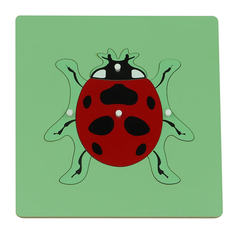 BO013(NX) Montessori Material Wooden Educational Toys of Ladybird Puzzle Montessori Toys