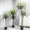 Hot Selling Plastic Artificial Bonsai Indoor/Outdoor Tree Large Eco-friendly Durable Evergreen Basin Plant