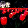 Wholesale Customized Outdoor Waterproof PU Red Yellow Colorful Aesthetic Artificial Flower Led Tulip Light