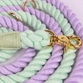 Hiqh Quality Wholesale Dog Cotton Rope Leash for Pets 15 Colours Available