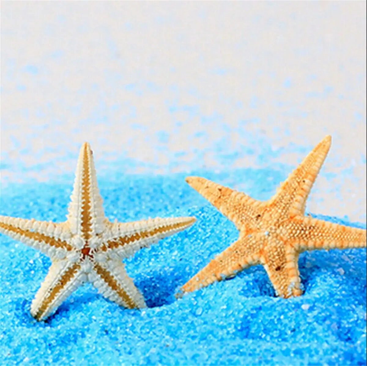 10pcs Natural Mini Cute Small Starfish Sea Star Shell Beach Home Decoration Kids DIY Craft