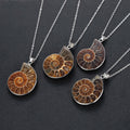 JOYA GIFT Charm Handmade Natural Conch  Ammonite Silver Wrapped Pendant Shell Necklace for Women