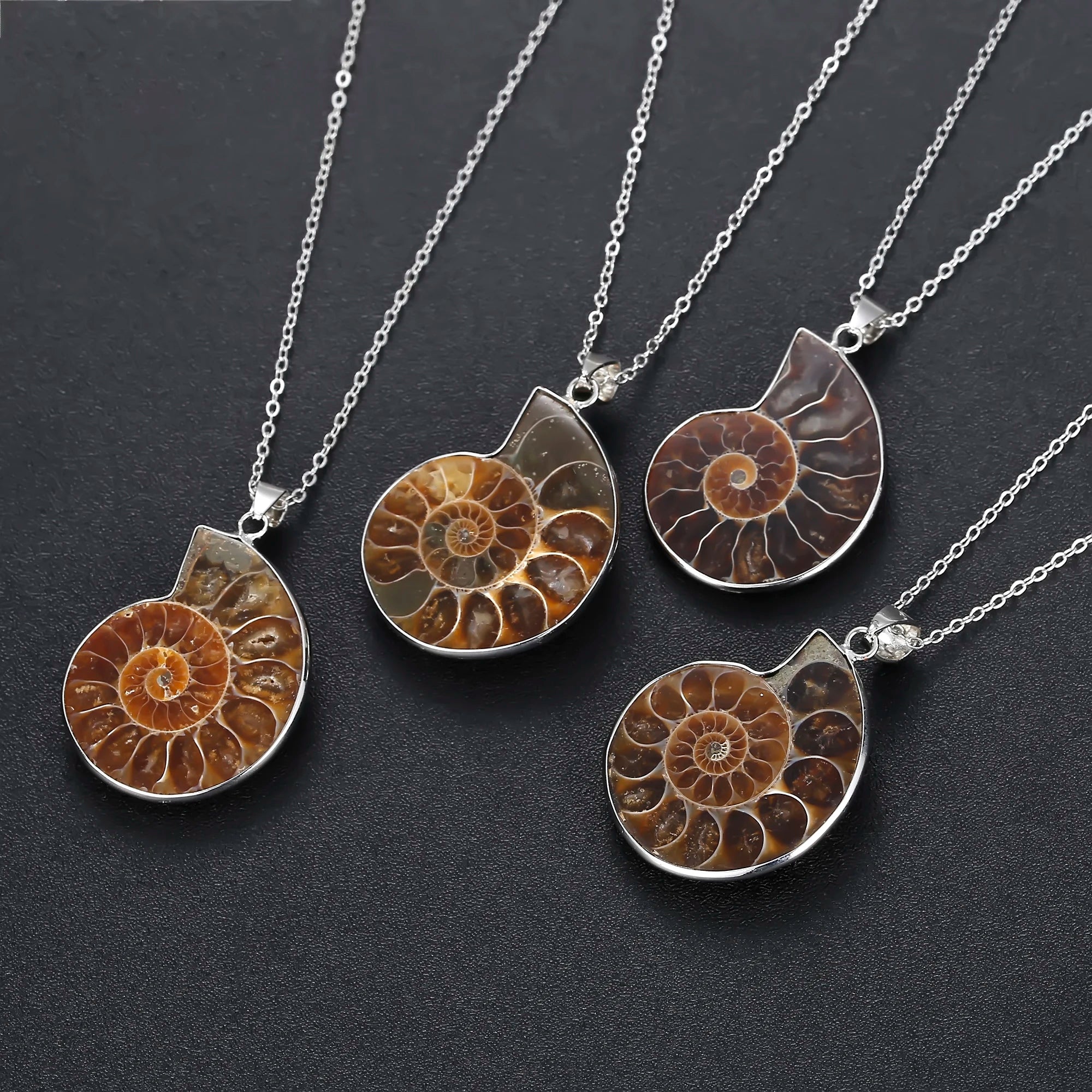 JOYA GIFT Charm Handmade Natural Conch  Ammonite Silver Wrapped Pendant Shell Necklace for Women