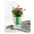 Small Planters Pot Self Water for Indoor Plants Clear Plastic Automatic Self Watering Plant Pot