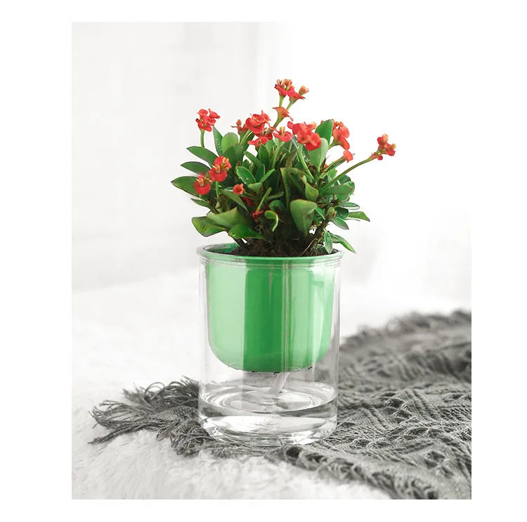 Small Planters Pot Self Water for Indoor Plants Clear Plastic Automatic Self Watering Plant Pot