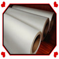 Jinlong Good Quality PET Transfer Film A3 21cm 33cm 60cm Single/ Matte Hot and Cold Peel Pet Film for Textile DTF Film Roll