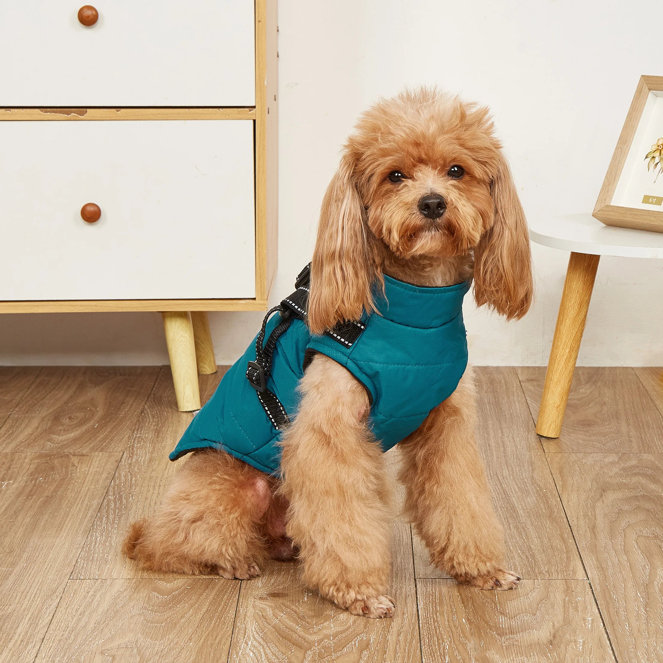New Winter Thermal Pet Fleece Jacket Turtleneck With Zipper Closure Waterproof Reflective Dog Jacket Clothes With Harnesses