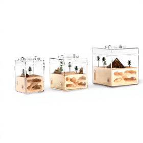 Ant Empire Egypt 3D Single Side Acrylic Transparent Nest Medium Burrow Edition Eco-Friendly Durable Simple Button Closure Easy