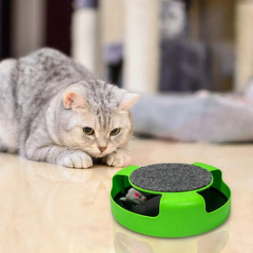 Juguetes Para Gatos Juegos Automatico Para Gato Adultos Pequenos Juguete Inteligencia Para Gato Interior