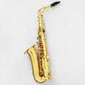 Professional High Grade Eb Alto Saxophone with Gold Lacquered Finish Brass Body Canvas Case Included