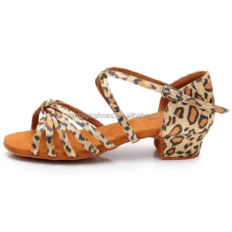 Comfortable Dance Latino Shoes Dropshipping