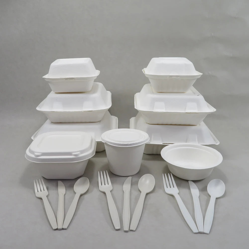 Biodegradable Disposable Compostable Sugarcane Bagasse Tableware Takeaway Container Connected Box for Parties for Outdoor Events