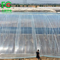 Large Single Span LDPE Film Greenhouse Low Cost Tunnel Greenhouse Film for Flower & Plant Agriculture