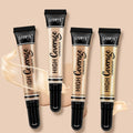 SANIYE Hot Selling  6 Colors Concealer Liquid Private Label Concealer Liquid Waterproof Concealer