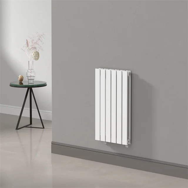 White Anthracite Black Flat Wall-Mounted Radiator for Hot Water Heating Energy-Saving Home Heat System Graphic Design Solution