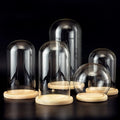 Wholesale High Borosilicate Transparent Glass Dome Cloche Cover Wood Base Micro Landscape Decoration