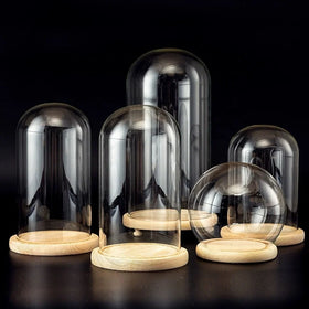 Wholesale High Borosilicate Transparent Glass Dome Cloche Cover Wood Base Micro Landscape Decoration
