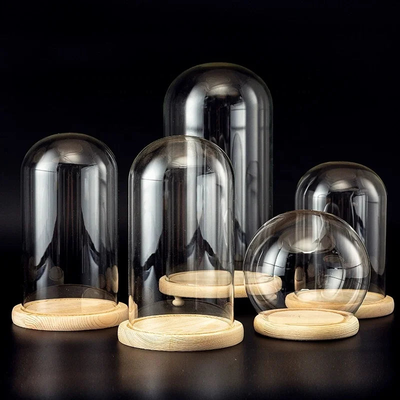 Wholesale High Borosilicate Transparent Glass Dome Cloche Cover Wood Base Micro Landscape Decoration