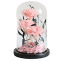 Natural Preserved Rose Carnation in Glass Dome Home Decor with Customizable Colors Gift Box for Easter Valentine's Day Christmas