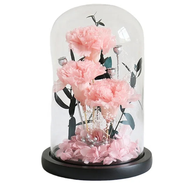 Natural Preserved Rose Carnation in Glass Dome Home Decor with Customizable Colors Gift Box for Easter Valentine's Day Christmas