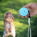 Wholesales Stocked Adjustable 2 Meters Dog Pet Walking Nylon Traction Rope